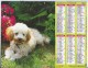 Calendrier Des Postes 1992 69 Rhone - Big : 1991-00