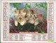 Calendrier Des Postes 1990  69 Rhone - Big : 1991-00