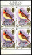 BIRDS-HIGHER 4 VALUES-BLOCKS OF 4-COOK ISLANDS-1982-MNH-A6-16 - Spechten En Klimvogels