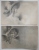 Cpa Precurseur Lot 2x Litho  Illustrateur Vienne Wichera Portrait Femme Chapeau Plumes Voyagé 1903 GRANGE-CANAL - Wichera