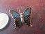 BROCHE - PAPILLON  - VOIR PHOTOS - Brochen