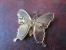 BROCHE - PAPILLON  - VOIR PHOTOS - Broches