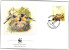 BIRDS-SPARROWS-WWF-SET OF 4  FDCs-PORTUGAL-1990-FLAWS-FC-67-42 - Sparrows