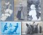 LOT 21 X CPa LITHO Et Photo FOLKLORE PAYS BAS HOLLANDE FEMME ENFANT COSTUME SCENE DE VIE MOULIN Voir Details - Collections & Lots