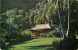 244441-Hawaii, Honolulu, Waioli Tea Room, Grass Hut, Eaglecolor No 2062 - Honolulu