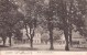 Saalfeld - 1906 - Partie Am Schützenhaus - 2 Scans - Saalfeld