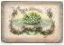 Ich Gratuliere 1872 - Maiglöckchen Veilchen Und Andere Blumen - 7cm X 10cm - Geburt & Taufe