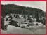 6 AK HINTERZARTEN (Schwarzwald) ~ Ab 1959 - Hinterzarten