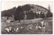 CPSM Photo Hôtel De La Tête De Ran Près Des Hauts Geneveys Suisse Neuchâtel Troupeau Vaches Devant Chalet - Geneveys