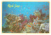5 VAL.CART. COLAR GARDEN RED SEA EGITTO - Sharm El Sheikh