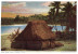 (566) Fijian Bure (house) - Fidschi