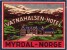 8 HOTEL LABELS NORWAY NORGE NORVEGE MYRDAL STALHEIM FEFOR LOEN MORCEDAL OSLO Nice Collection - Hotel Labels