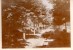 Delcampe - NIMES COURBESSAC  - Environ De Nimes -  - 15 Photos De 1902 De Courbessac Et De La Famille Charnisay - RARISSIME !!!!! - Autres & Non Classés