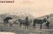 LES PYRENEES UN ATTELAGE MONTAGNARD AGRICULTURE BOEUF ANE FOLKLORE LABOUCHE - Autres & Non Classés