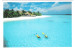 Maldiven - Maldives - Vakarufalhi Island Resort -  Nice Fish Stamp - Maldiven