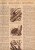 1931 SCIENCE & MONDE N°6-16 Pages.Nouveau Scaphandre-Photogravure-Scarabées Monstres-Zoos Du Monde Etc... 5 Scans - 1900 - 1949