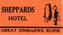 13 HOTEL Labels ZIMBABWE Bulawayo  NIGERIA UGANDA NAMPULA MOCANBIQUE MADAGASCAR TANGANYKA - Hotel Labels