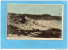 AUSTRALIE-COOGEE Favourite Seaside Resort Near SYDNEY -la Plage Animée-années 1900+10a Circulé Sous Enveloppe - Sydney