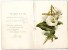 EASTER LILIES    CLIFTON NINGHAM   -  8 PAGES CARTONNEES   XIX°  BELLES ILLUSTRATIONS - Poesia