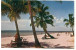 FRA CARTOLINA POST CARD STATI UNITI D’AMERICA U.S.A. UNITED STATES OF AMERICA FORT MYERS BEACH, FLORIDA VIAGGIATA 1973 V - Fort Myers