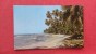 > Costa Rica - Beach Of Uvita Island  Back Side Left Border Paper Loss Ref 2024 - Costa Rica