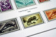 Delcampe - COLOR PRINTED RIO MUNI 1960-1968 STAMP ALBUM PAGES (8 Illustrated Pages) >> FEUILLES ALBUM - Vordruckblätter