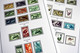 Delcampe - COLOR PRINTED RIO MUNI 1960-1968 STAMP ALBUM PAGES (8 Illustrated Pages) >> FEUILLES ALBUM - Vordruckblätter