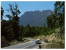 (989) Australia - TAS - Mt Murchinson From Highway - Wilderness