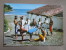 Salvador, Bahia. Capoeira: Luta Ou Jogo Em Forma De Danca Meio De Defesa Dos Negros Na Epoca Da Escravidao. - Salvador De Bahia