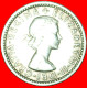 * LAST TYPE (1954-1970): GREAT BRITAIN  6 PENCE 1960! ELIZABETH II (1953-2022) LOW START  NO RESERVE! - H. 6 Pence