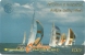Antigua & Barbuda - Antigua Sailing Week, 13CATB (White), 1994, 30.000ex, Used - Antigua Et Barbuda