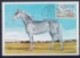 MONACO - CARTE MAXIMUM SERIE COMPLETE CHEVAUX 1970  8 FDC - Maximum Cards