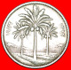 * GREAT BRITAIN (1969-1990): IRAQ  50 FILS 1392-1972 PALMS! LOW START NO RESERVE! - Irak