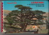 Lebanon - A 60 Color Slides Guide Book On Kodak Film - Diapositives