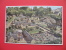 THE MODEL VILLAGE,BOURTON-ON-THE-WATER - Gloucester