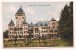 Luxembourg - Colmar-Berg Le Château Grand-ducal - Ed. W. Capus Colorisée - Colmar – Berg