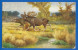 Tiere; Rentier; Ren; Caribou; Reindeer; Renne; Künstlerkarte; 1926 - Sonstige & Ohne Zuordnung