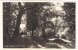 The Church In The Wood, Okehampton Black & White Photographic Postcard By Fitzwilliams Unused - Other & Unclassified