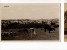 URUGUAY MINAS RPPC REAL PHOTO  NATURAL CATTLE BREEDING SHEEP COW TARJETA POSTAL  Ca1930 POSTCARD Cpa Ak (W4_1660) - Uruguay