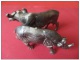 Lot 2 Figurines Plastique Animaux Sauvages Rhinocéros Buffle Lessive OMO Jouets - Other & Unclassified