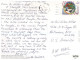 (981) Malaysia - Penang Snake Temple (with Youth Football World Cup Stamp At Back Of Postcard) - Buddhism