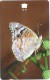 Oman - Blue Pansy, Butterflies, 34OMNW, 1997, 450.000ex, Used - Oman