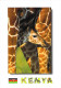 Afrique -KENYA African Wildlife Giraffe (Girafe Faune) * PRIX FIXE - Kenya