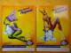 LOT De 2 Cartes Publicitaires De ORANGINA Biche érotique & Femme Nuisette Lilas - Advertising