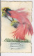 CP Oiseau De Paradis Avec Plumes Roses Et Bleues Ajoutées Collées Pousière Argentée Collée Vers 1905. TB - Gekleidete Tiere