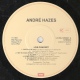 * LP *  ANDRE HAZES - LIVE CONCERT (Holland 1983 EX-!!!) - Sonstige - Niederländische Musik
