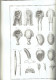 ART DE L HABILLEMENT VERS 1750 BOUTON PASSEMENTERIE BRODERIE CHAPEAU COUTURIERE DENTELLE EVENTAIL PERRUQUE BARBIER PLUME - Littérature
