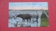 Hawaii>Cultivating Rice Field With Water Buffalo Stamp Peeled Off Back        Ref  2067 - Other & Unclassified