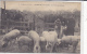 89. CHASTELLUX SUR CURE. N 18. GROS PLAN LA FOIRE AUX COCHONS  AN 1909.   CPAA - Autres & Non Classés