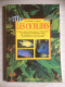 - Livre- Aquarium - Poissons - Cichlidés - éd De Vecchi - 1998 - - Sonstige & Ohne Zuordnung